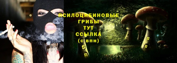 jwh Верхний Тагил