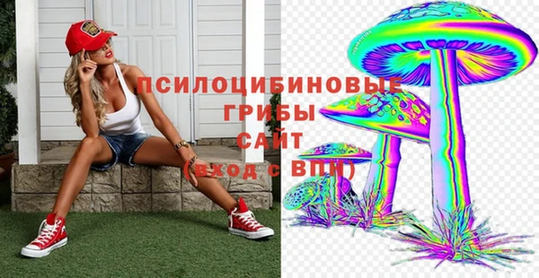 jwh Верхний Тагил