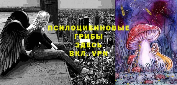 jwh Верхний Тагил