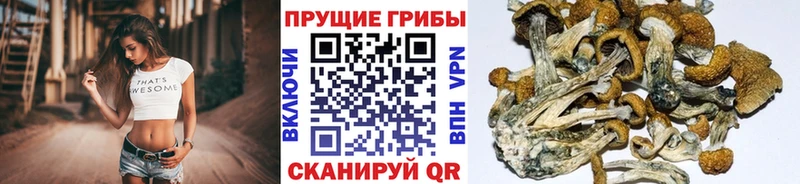 Галлюциногенные грибы мухоморы Южноуральск